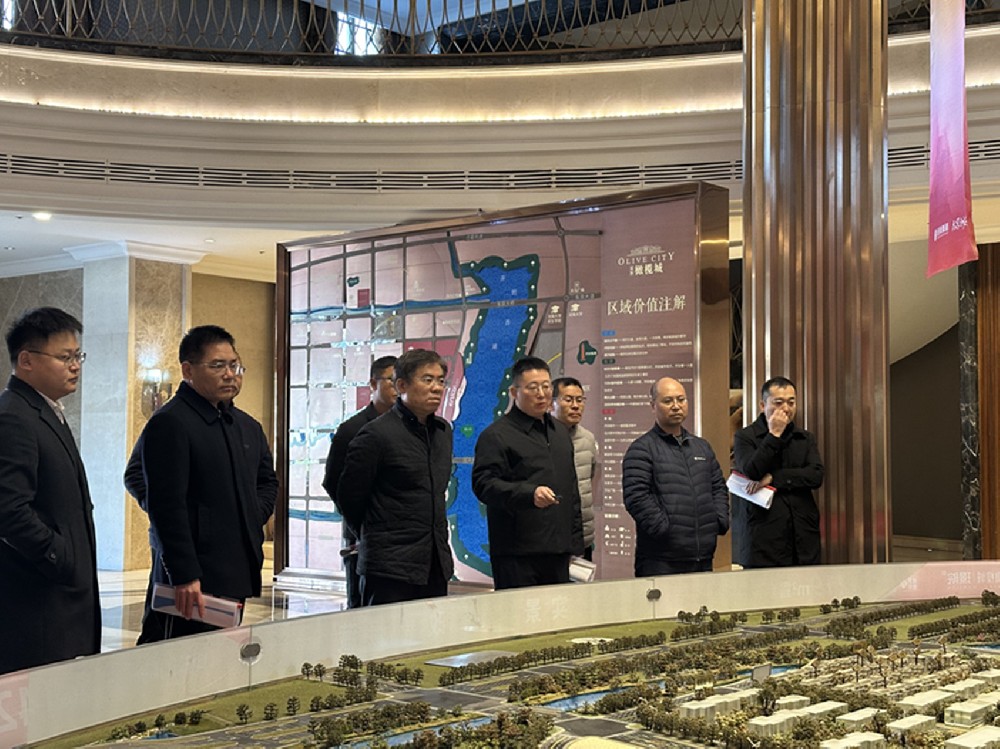 黨委書記、董事長汪洋調(diào)研開封項目并指導(dǎo)經(jīng)營發(fā)展工作